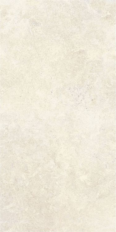 OL Limestone Avorio Matte 24 x 48